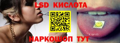 СК Новодвинск
