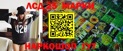 СК Новодвинск