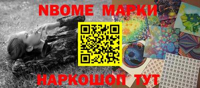 СК Новодвинск