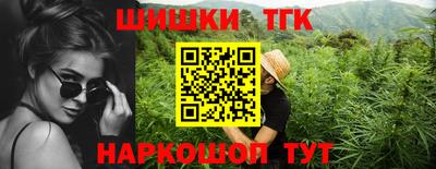 СК Новодвинск
