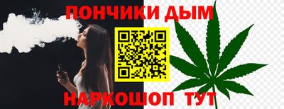 СК Новодвинск