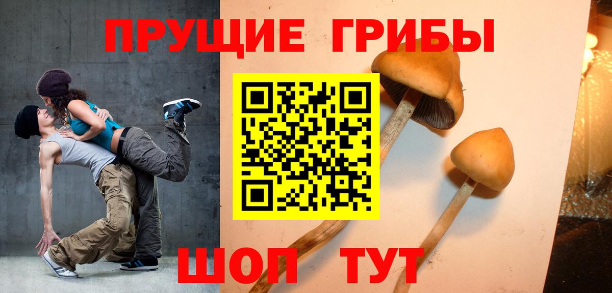 Галлюциногенные грибы MAGIC MUSHROOMS  Вход с VPN  Галлюциногенные грибы Magic Shrooms  Невинномысск 